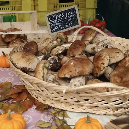 Apartment Funky, Affordable Mountain Bagnères-de-Luchon